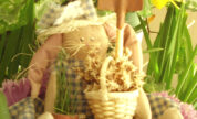 Garden Bunny Pattern